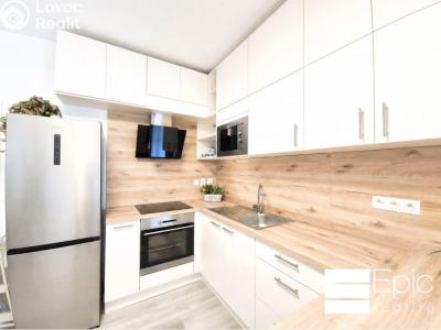 Rent apartment 2+KK Mělník, Nůšařská 4385 č. 4
