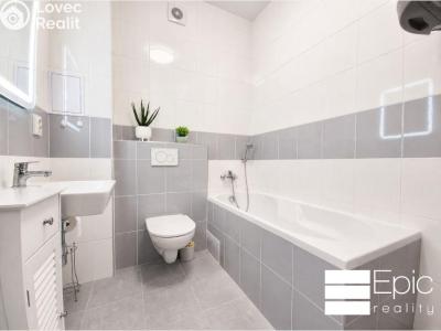 Rent apartment 2+KK Mělník, Nůšařská 4385 č. 6