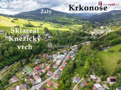 Sale family house Vrchlabí, Horská č. 54