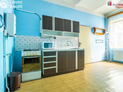 Продажа семейного дома Vrchlabí, Horská č. 73
