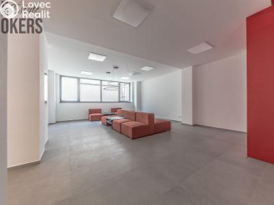 Rent office space Praha, Průběžná č. 21