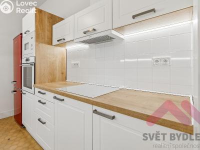 Rent apartment 2+1 Praha, U smaltovny č. 3