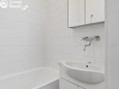 Rent apartment 2+1 Praha, U smaltovny č. 15