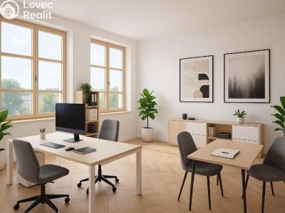 Prodej činžovního domu Šluknov, Tovární 641 č. 7