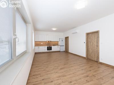 Rent apartment 2+KK Nové Strašecí, Jiřího Šotky 1533 č. 6
