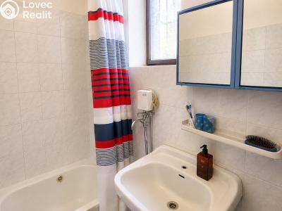 Sale hut Metylovice č. 14