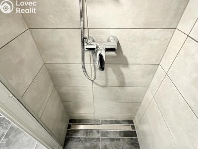 Pronájem bytu 1+1 Duchcov, Osecká č. 11