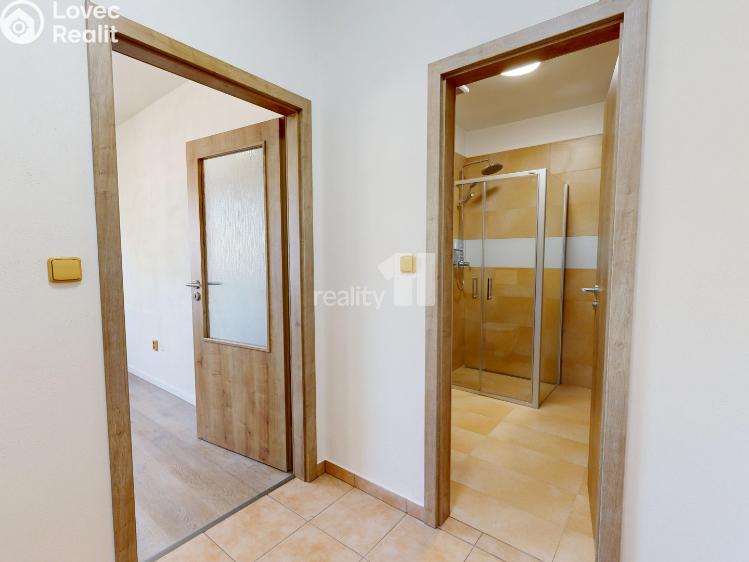 Rent apartment 1+KK Senožaty č. 5