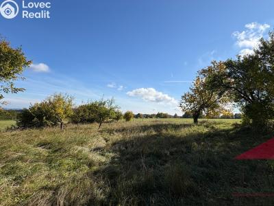Prodej rodinného domu Strašín č. 8