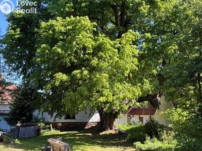 Prodej rodinného domu Strašín č. 31