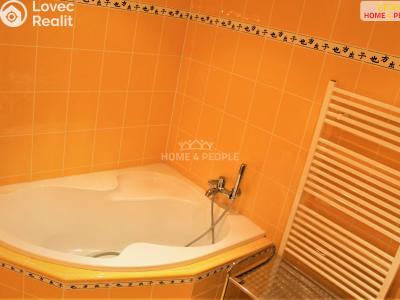 Продаж квартири 2+1 Karlovy Vary, Koptova č. 14