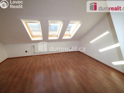 Продаж квартири 2+KK Horní Slavkov, Poštovní č. 4