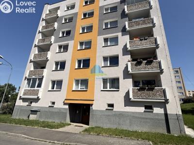 Pronájem bytu 1+1 Františkovy Lázně, Husitská č. 8