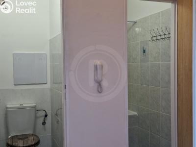 Pronájem bytu 2+KK České Budějovice, Papírenská č. 10