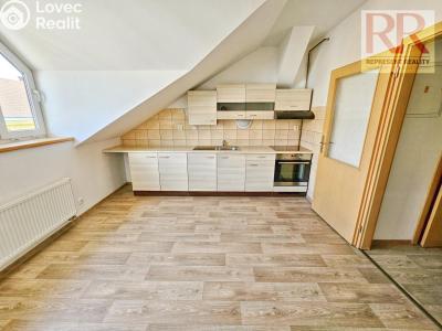 Pronájem bytu 2+KK Plzeň, Skrétova č. 1