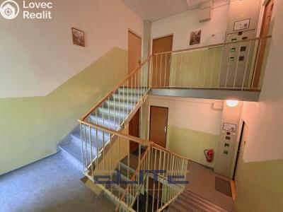 Pronájem bytu 3+1 Hrádek nad Nisou, Liberecká 660 č. 26