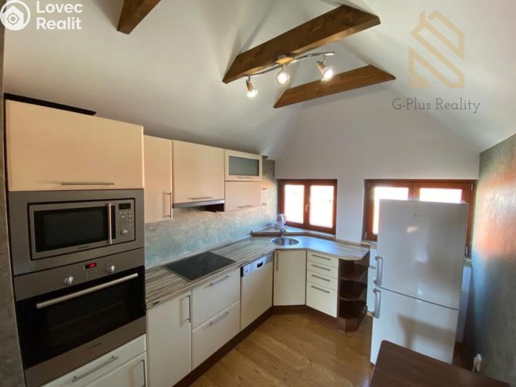 Rent apartment 2+1 Louny, Na Valích č. 1
