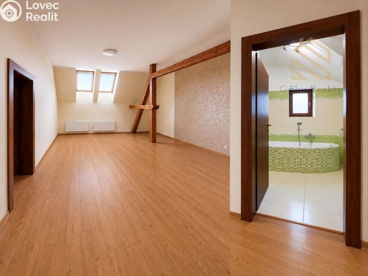Rent apartment 2+1 Louny, Na Valích č. 3