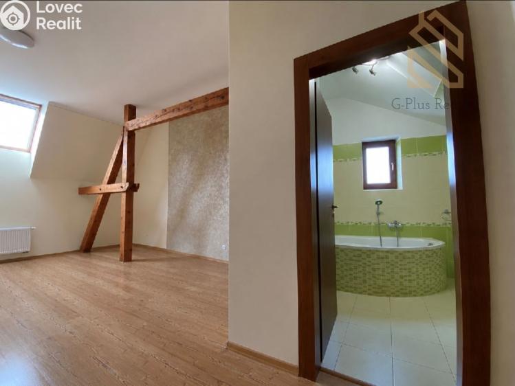 Rent apartment 2+1 Louny, Na Valích č. 4