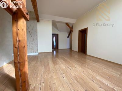 Rent apartment 2+1 Louny, Na Valích č. 2
