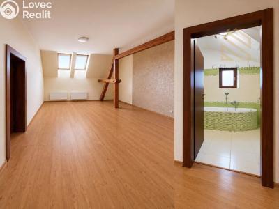 Rent apartment 2+1 Louny, Na Valích č. 3