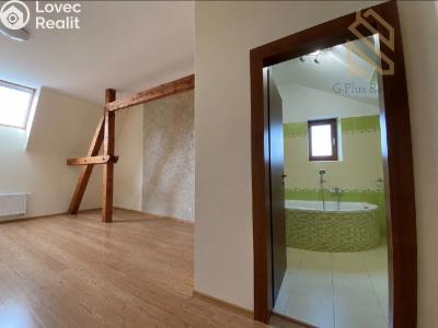 Rent apartment 2+1 Louny, Na Valích č. 4