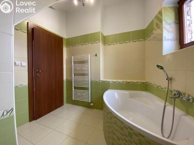 Rent apartment 2+1 Louny, Na Valích č. 6