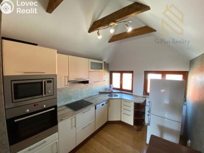 Rent apartment 2+1 Louny, Na Valích č. 8