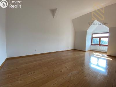 Rent apartment 2+1 Louny, Na Valích č. 10