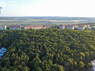 Продаж сімейного будинку Brno, Nedbalova č. 26