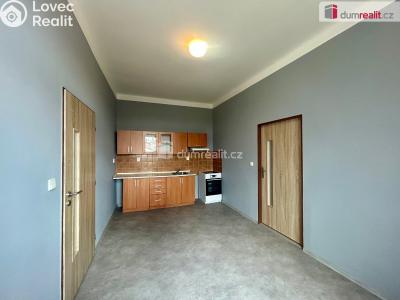 Rent apartment 2+1 Kolín, Ovčárecká č. 10