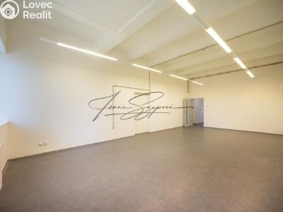 Prodej komerční nemovitosti Jindřichův Hradec, Stará cesta č. 25
