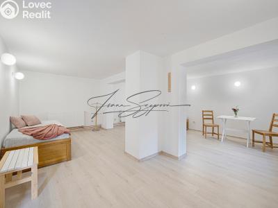 Продаж багатогенного будинку Olešná č. 24