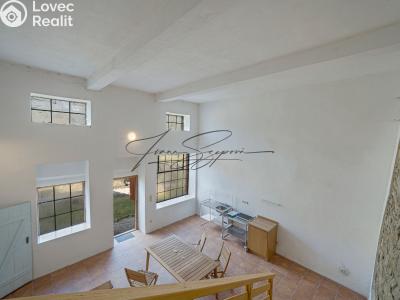 Продаж багатогенного будинку Olešná č. 33
