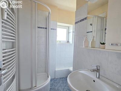Rent apartment 2+1 Brno, Křídlovická č. 3