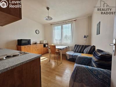 Rent apartment 2+1 Brno, Křídlovická č. 9