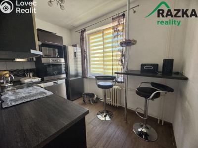 Аренда квартиры 3+1 Tachov, Pod Svahem č. 6