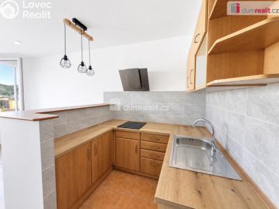 Pronájem bytu 1+KK Ústí nad Labem, Rozcestí č. 7