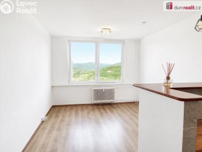 Pronájem bytu 1+KK Ústí nad Labem, Rozcestí č. 10