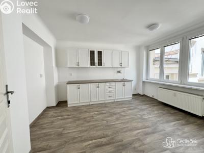 Pronájem komerční nemovitosti Karlovy Vary, Dr. Davida Bechera č. 2