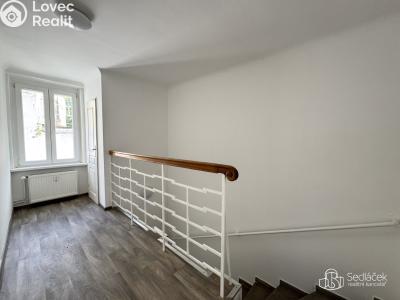Pronájem komerční nemovitosti Karlovy Vary, Dr. Davida Bechera č. 9