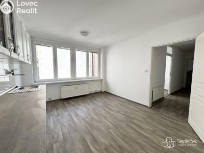 Pronájem komerční nemovitosti Karlovy Vary, Dr. Davida Bechera č. 12