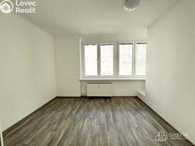 Pronájem komerční nemovitosti Karlovy Vary, Dr. Davida Bechera č. 13