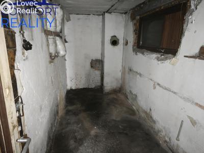 Pronájem chalupy Město Albrechtice č. 18