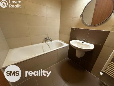 Rent apartment 1+KK Opava, Hálkova č. 6