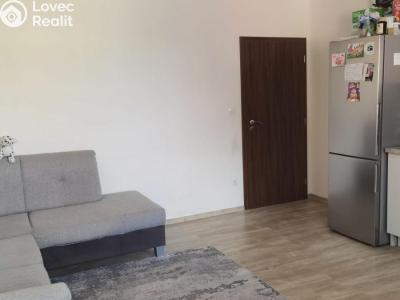 Pronájem bytu 3+KK Polná, Rérychova č. 14