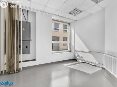 Pronájem výrobní haly Lanškroun, Opletalova č. 10