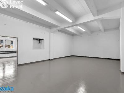 Pronájem výrobní haly Lanškroun, Opletalova č. 14