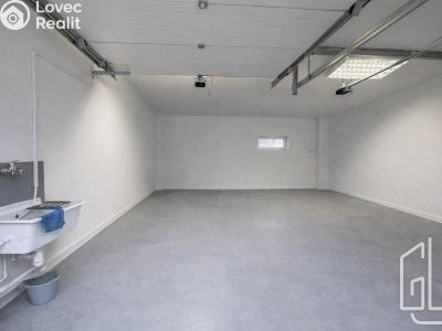 Аренда коммерческой недвижимости Brno, Božetěchova č. 8