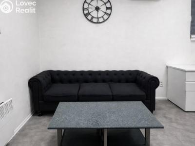 Аренда коммерческой недвижимости Brno, Božetěchova č. 4